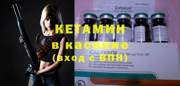 шишки Беломорск