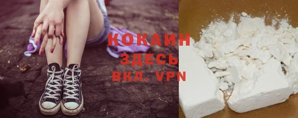 дмт Белокуриха