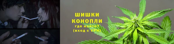шишки Беломорск