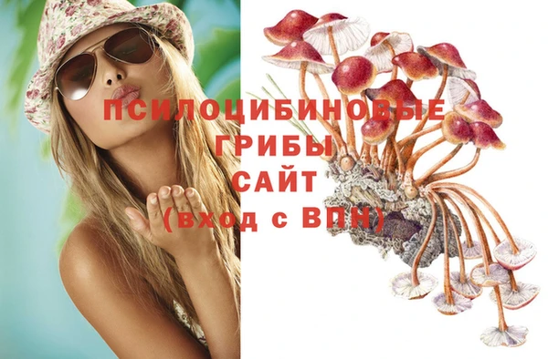 дмт Белокуриха