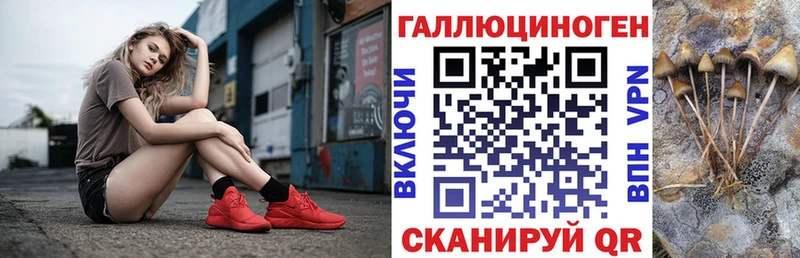 OMG ссылки  Светлогорск  Псилоцибиновые грибы GOLDEN TEACHER  где можно купить  